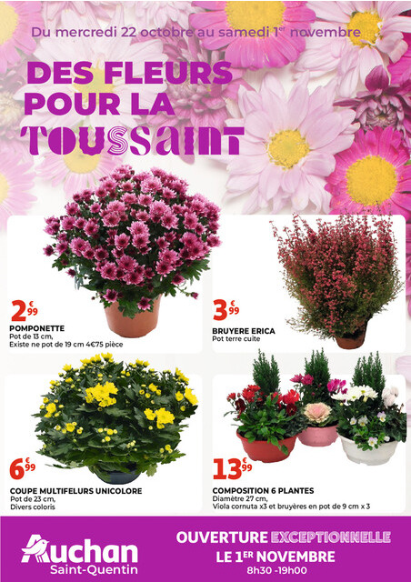 DES FLEURS POUR LA TOUSSAINT