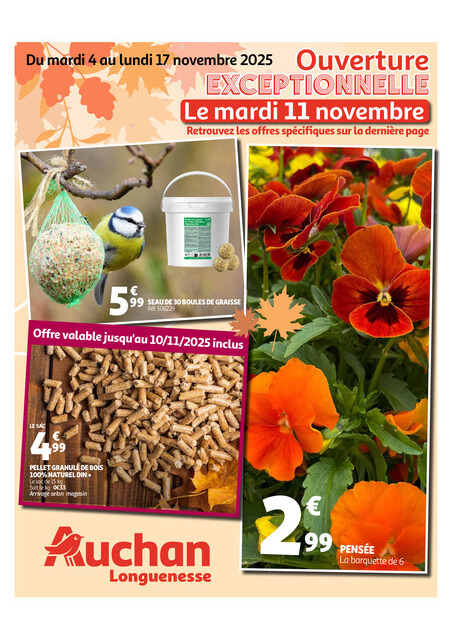 Jardin de novembre + 11.11