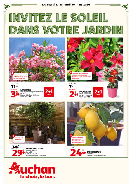 Faites revivre votre jardin