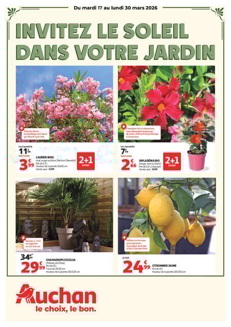 Invitez le soleil dans votre jardin
