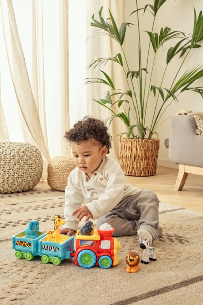 Train Des Animaux Sauvages 