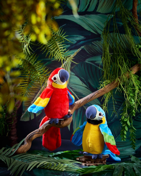 Perroquet Interactif 