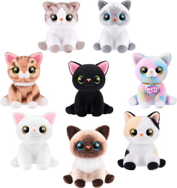 Chaton Smitten Kittens