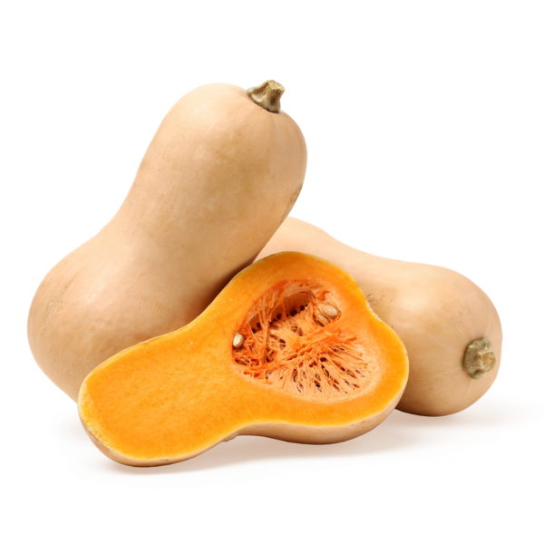 Courge Butternut