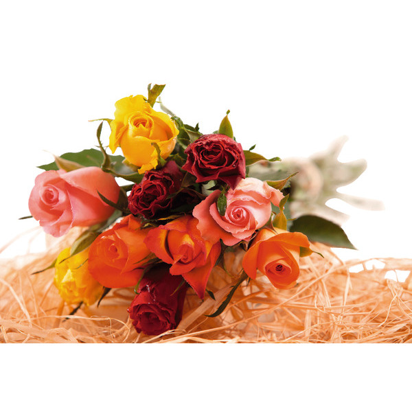 Bouquet De 10 Roses Arlequin + Pic Bonnes Vacances 