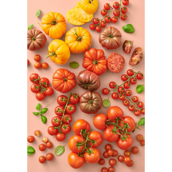 Tomates Rondes En Grappe Bio
