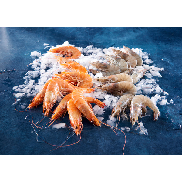 Crevettes Entières Cuites Réfrigérées Ou Crues Décongelées