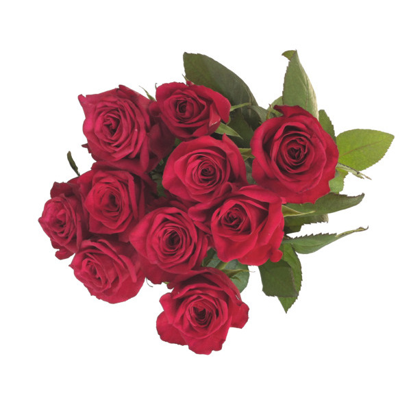 Bouquet De 10 Roses 