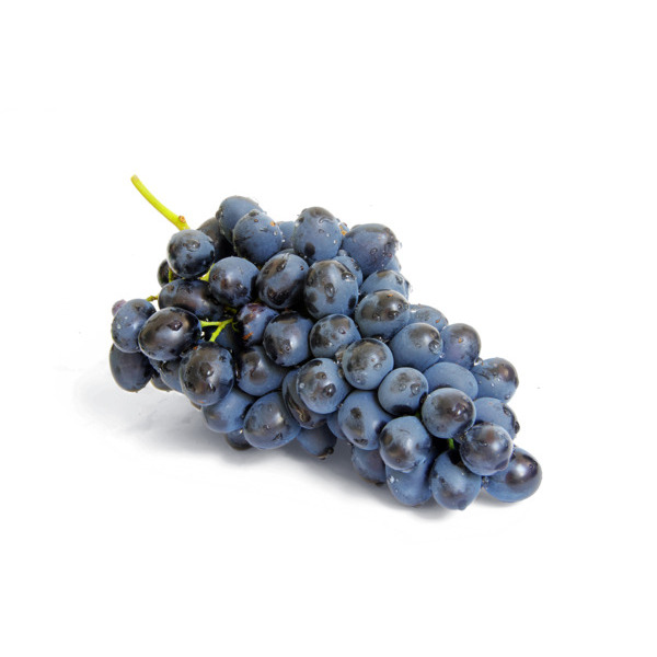 Raisin Muscat