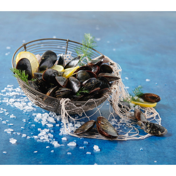 Moules De Corde De Méditerranée Filière Auchan "Cultivons Le Bon"