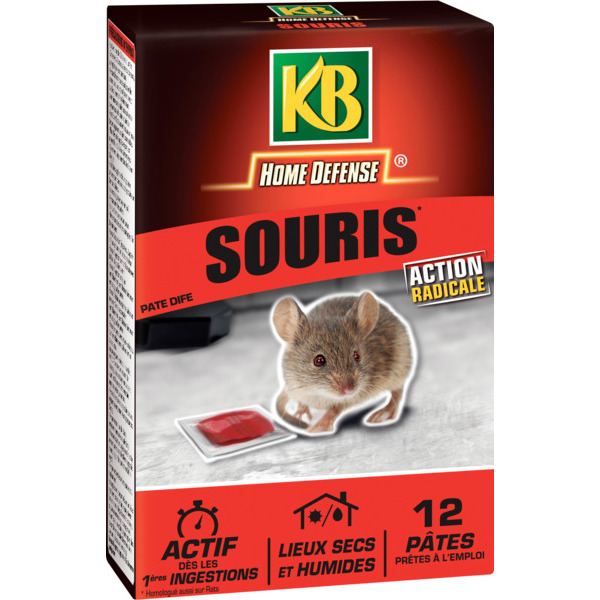 Pâte Anti-Souris 120 G (12X10 G)