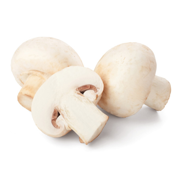 Champignons Blancs