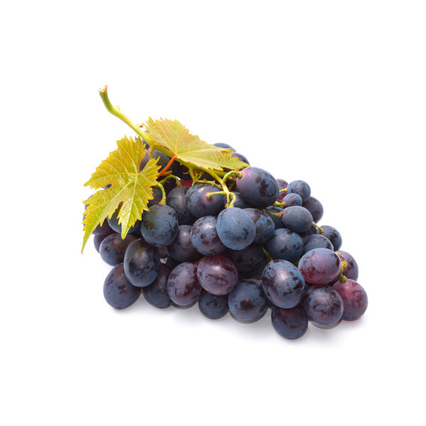 Raisin Muscat