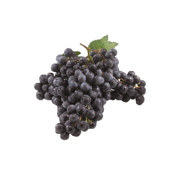 Raisin Muscat Bio