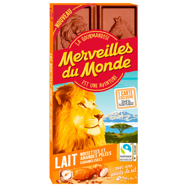 Tablettes De Chocolat Lait Noisettes Et Amandes Pilées Merveilles Du Monde