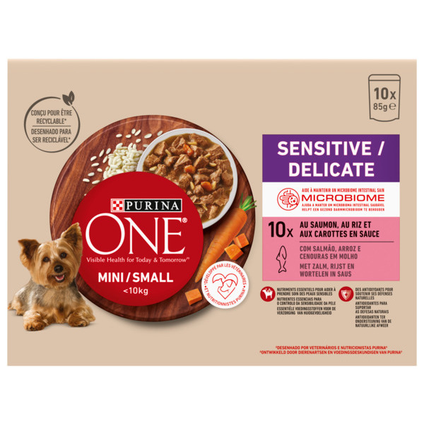 Repas Au Saumon Pour Chiens Adultes Mini Purina One