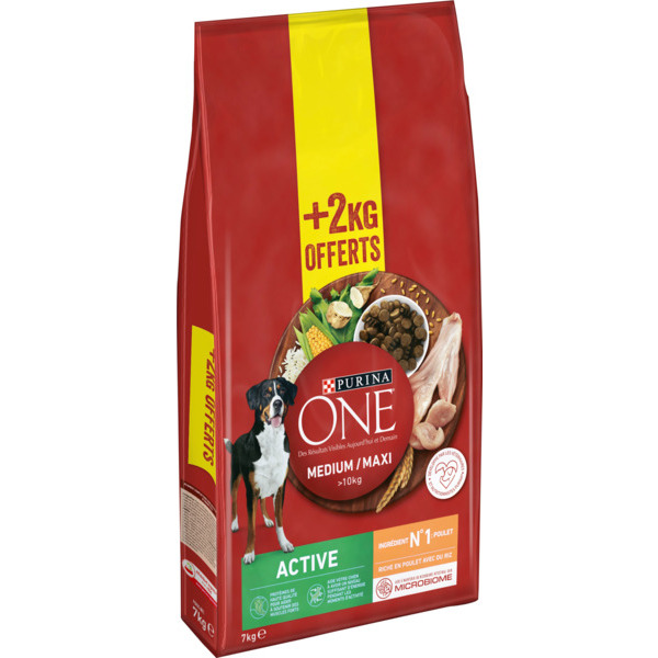 Croquettes Riche En Poulet Et Riz Pour Chien Adulte Purina One