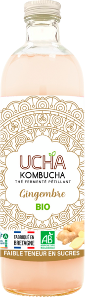 Kombucha Gingembre Bio Ucha