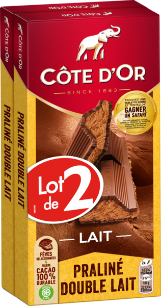 Tablettes De Chocolat Praliné Double Lait Côte D'or