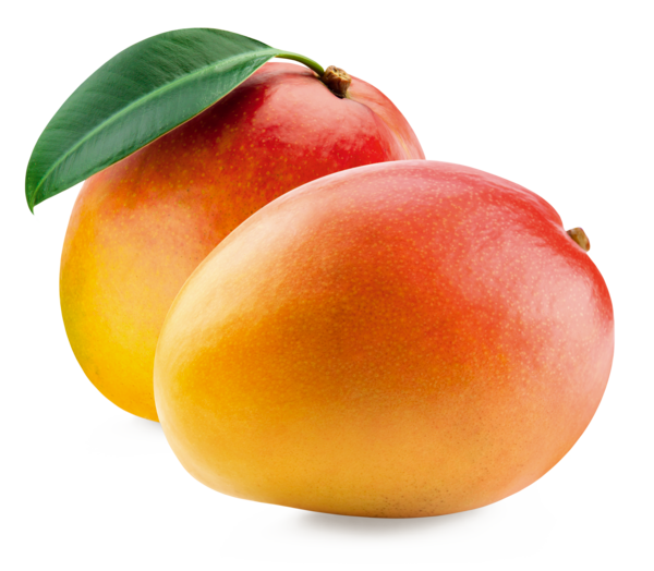 Mangue