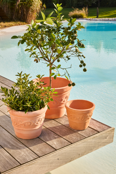 Pot Terre Cuite Ø37 X H.37 Cm Auchan Design prix bas : le décor est planté