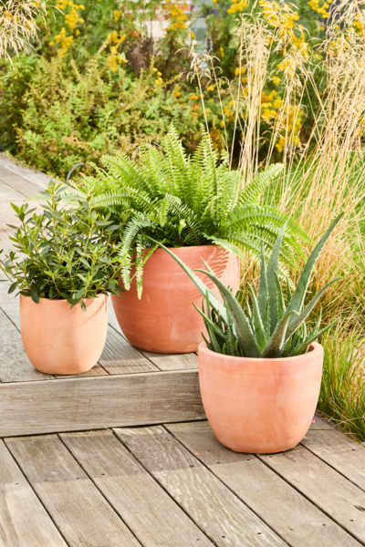 Pot Terre Cuite Ø24 X H.20 Cm Auchan Design prix bas : le décor est planté