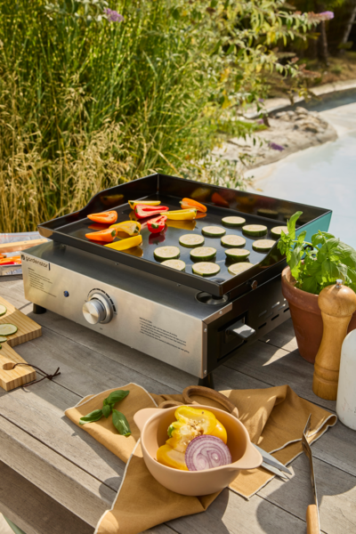 Plancha Électrique 1 Brûleur Gardenstar Auchan Design prix bas : le décor est planté