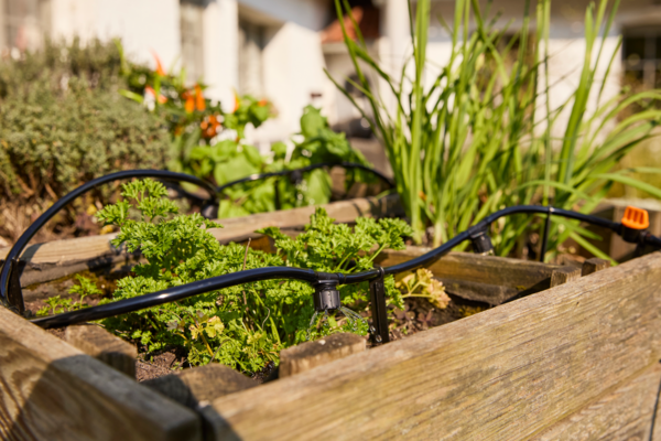 Kit D'irrigation Complet Gardenstar Auchan Design prix bas : le décor est planté
