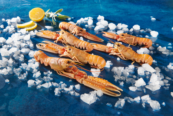 Langoustines Cuites