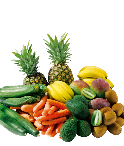 Foire Aux Produits Bio