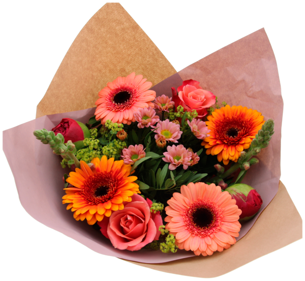 Bouquet Composé De Germinis