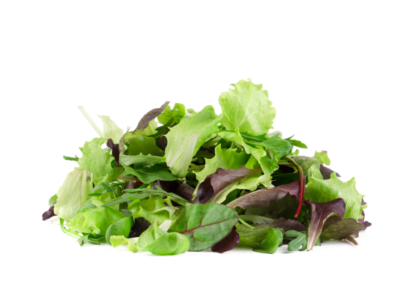 Salades Jeunes Pousses