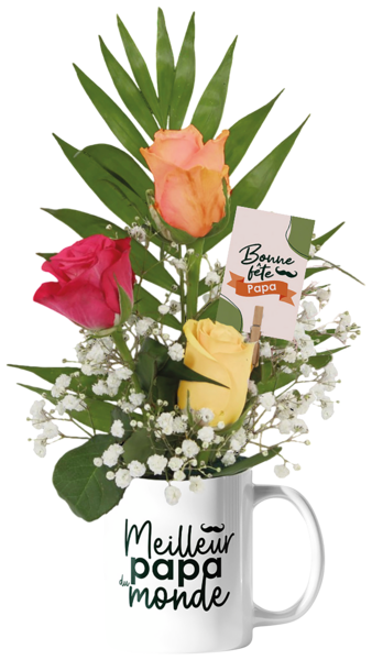 Composition De Fleurs + Tasse "Meilleur Papa Du Monde"