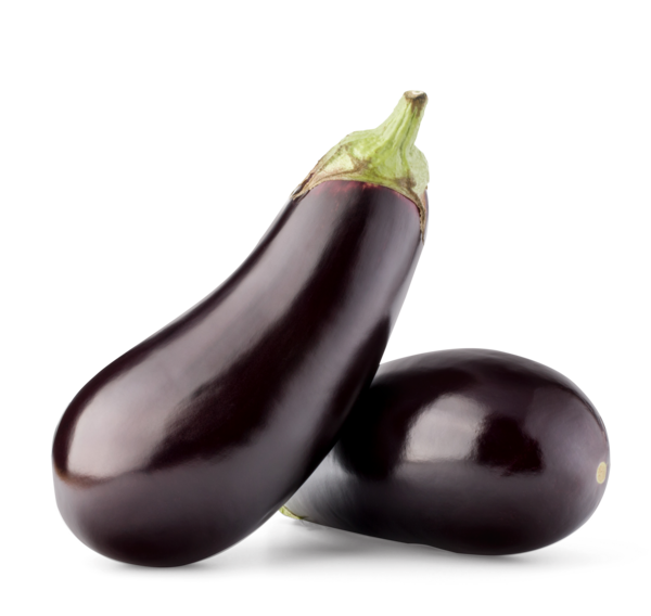 Aubergines Bio
