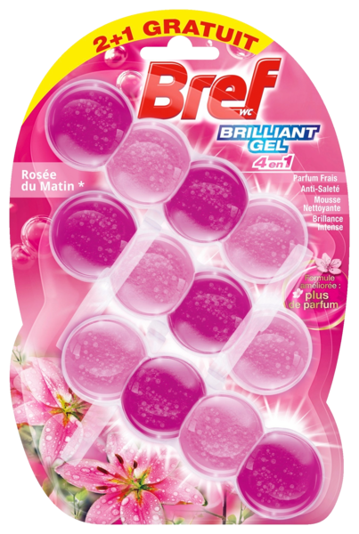 Bloc Wc Brillant Gel 4 En 1 Rosée Du Matin Bref