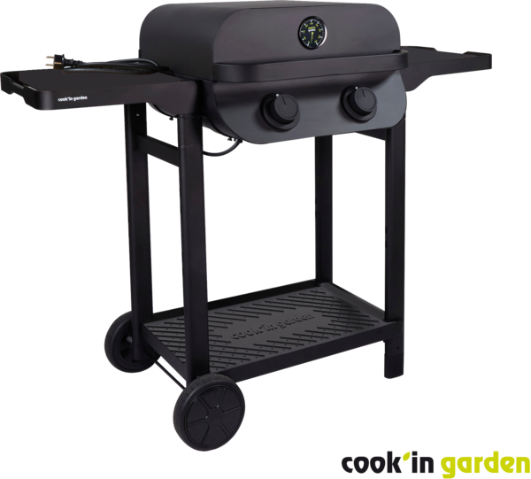 Barbecue Électrique Cook'in Garden