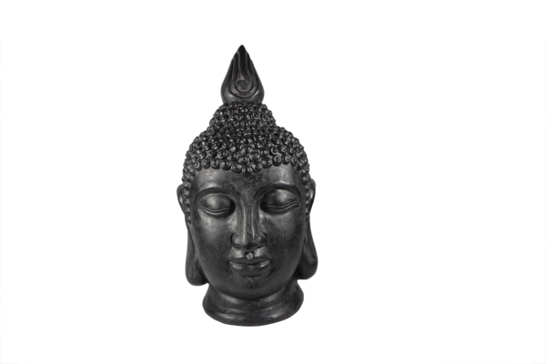 Tête De Bouddha Gardenstar