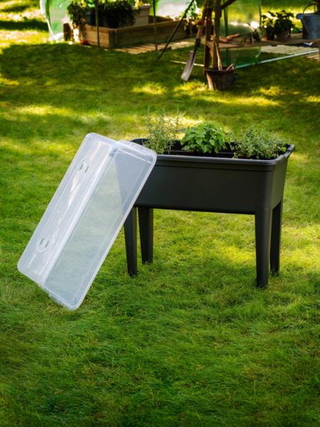 Bac Potager Sur Pieds Ou À Poser Gardenstar