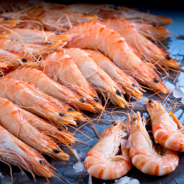 Gambas Sauvages Cuites Réfrigérées