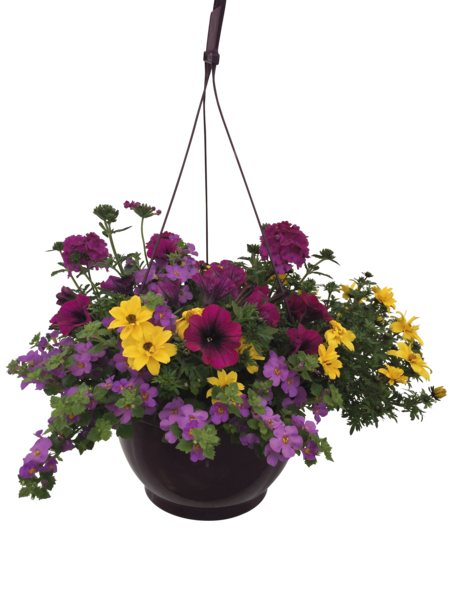 Suspension 6 L Ou Composition 3 Plantes