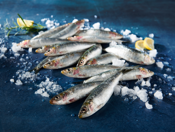 Sardines