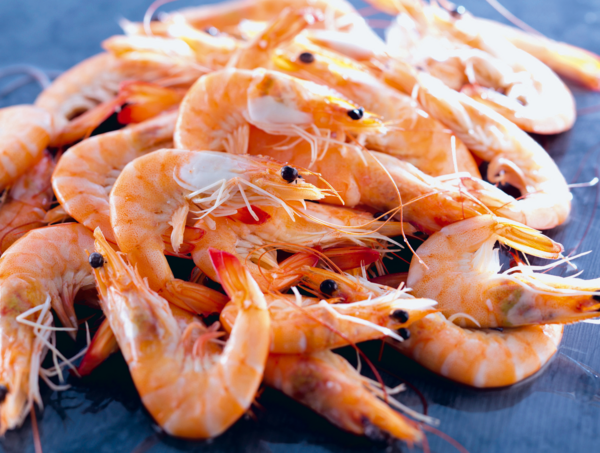 Crevettes Entières Cuites Réfrigérées