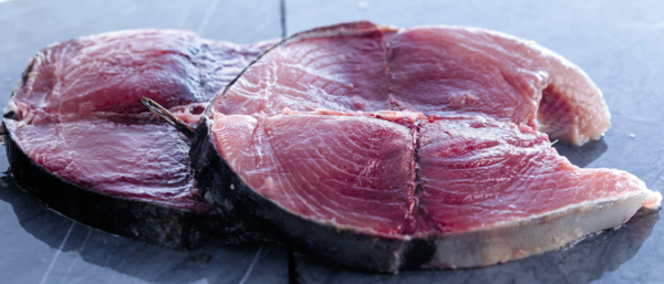 Thon Albacore Ou Obèse Filière Auchan "Cultivons Le Bon"