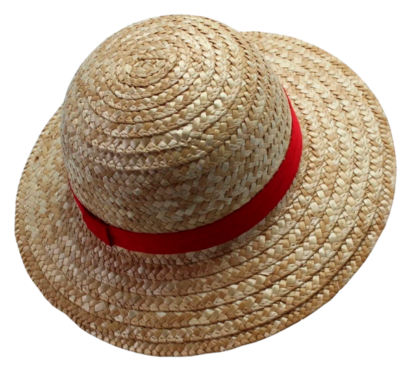 Le Chapeau De Paille Licence One Piece