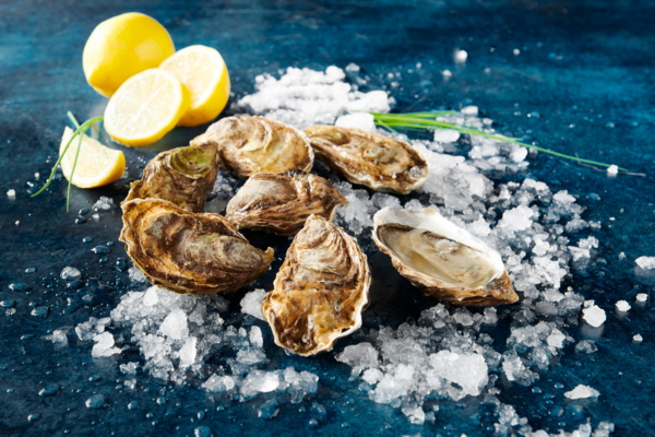 Huîtres Creuses Fines De Charente Maritime