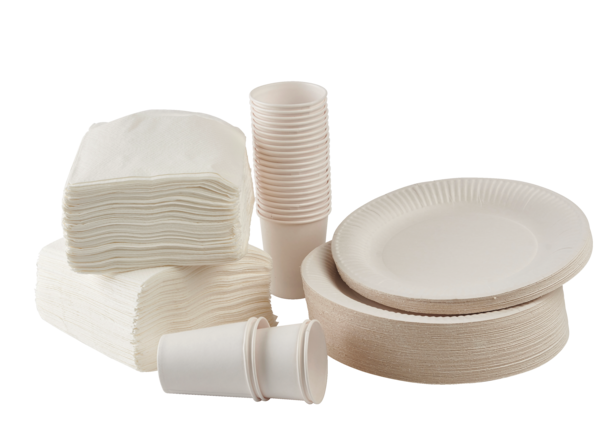 Serviettes Blanches 1 Pli 30 Cm