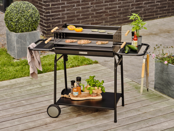 Barbecue Charbon Gardenstar Auchan Remises en beauté
