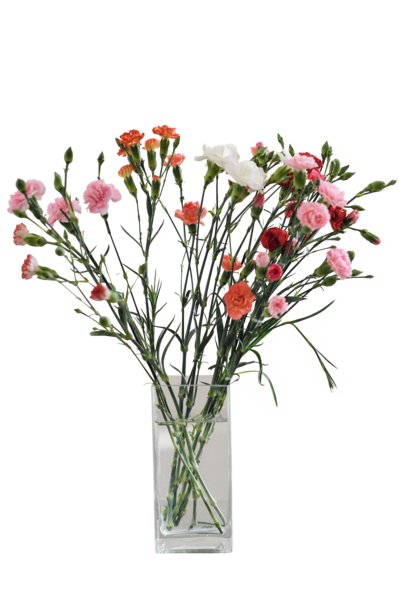 Foire Aux Bouquets