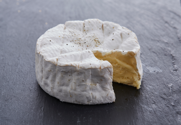Camembert Jort Aop