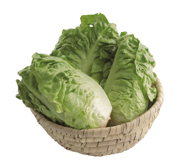 Salades Coeur De Laitue